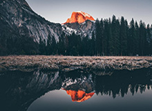 中国选手温瑞博战胜张本智和，晋级WTT重庆冠军赛男单决赛